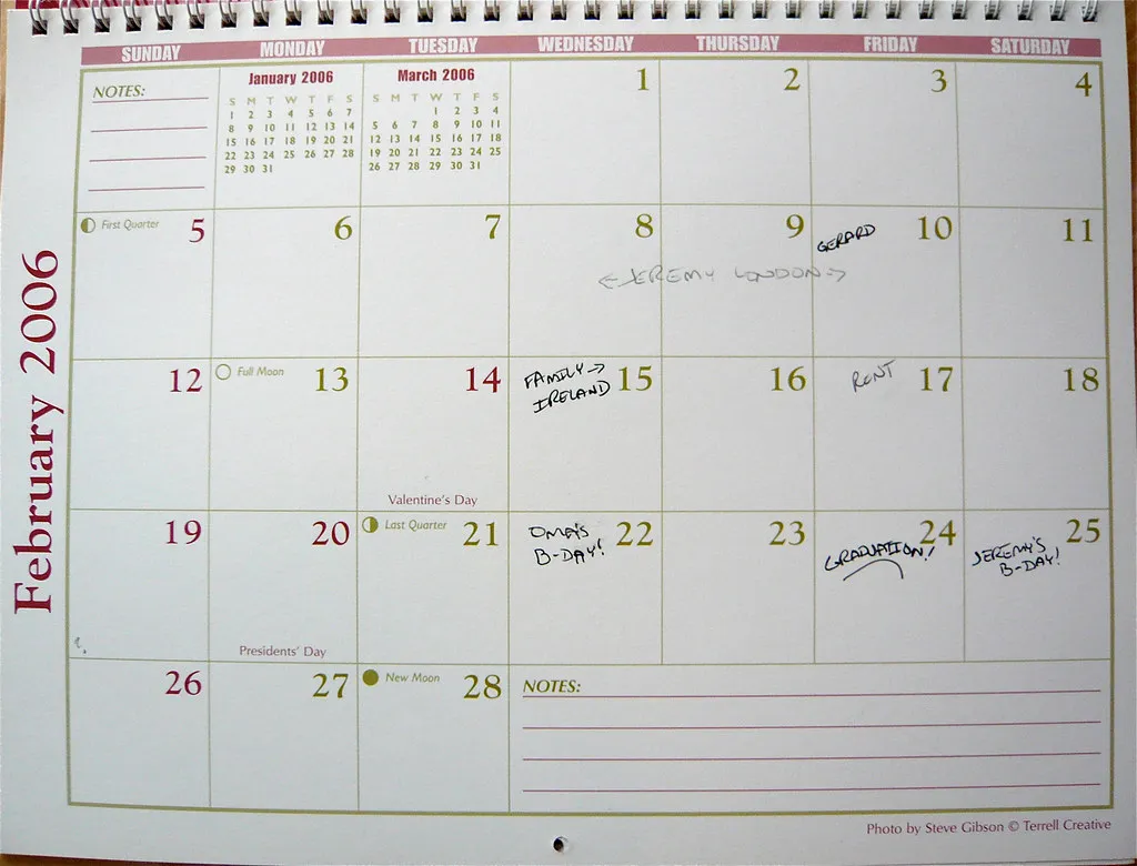 A wall calendar month with plans handwritten in some of the boxes