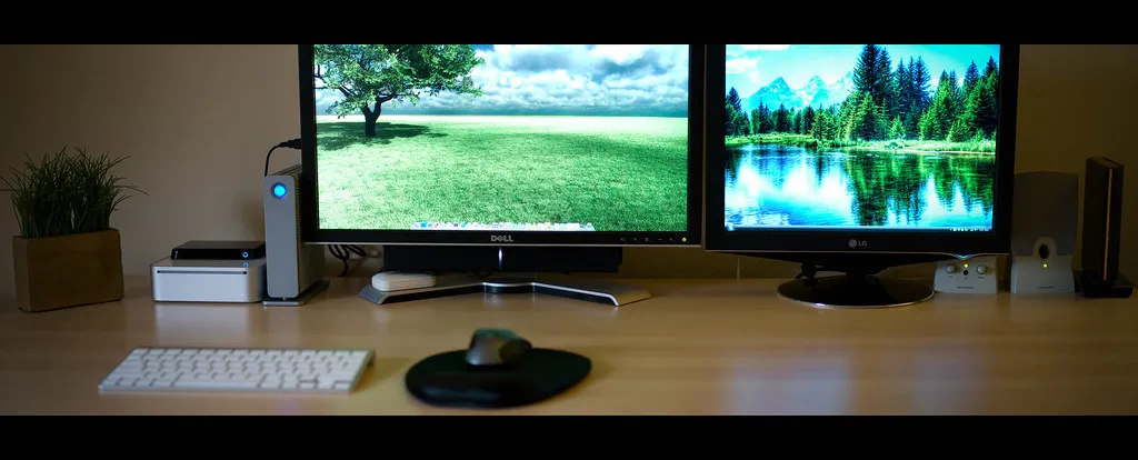 A tidy home office desk with a small potted plant by the window