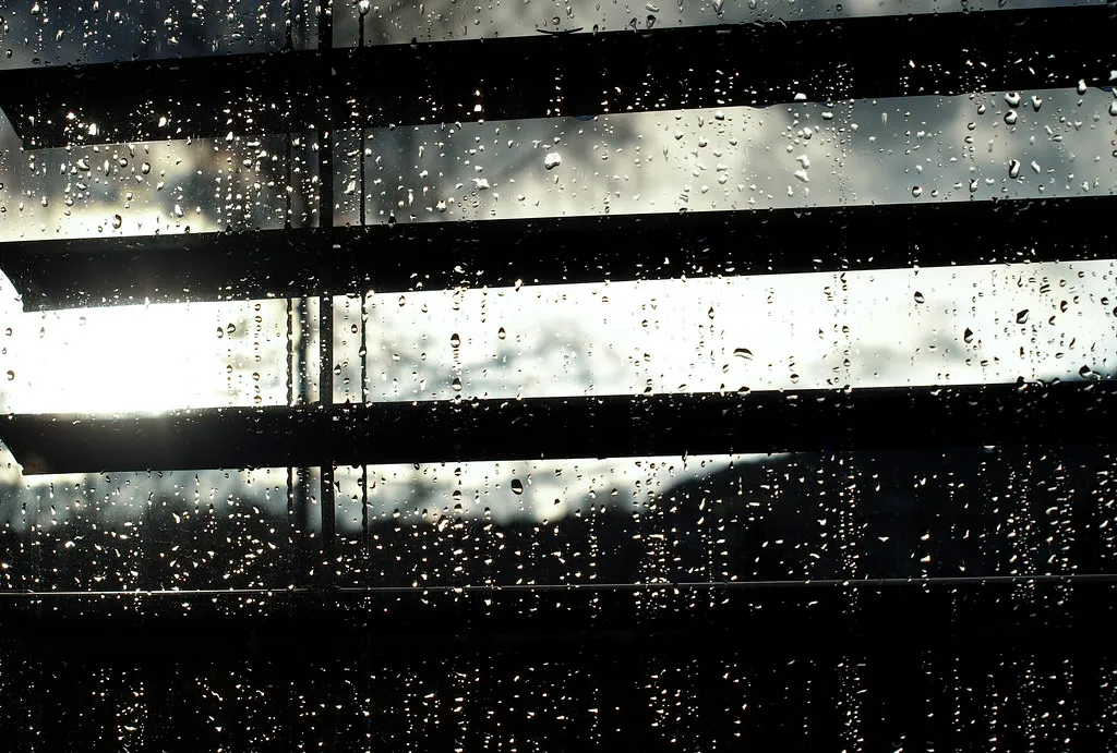 Raindrops beaded on the outside of a window pane